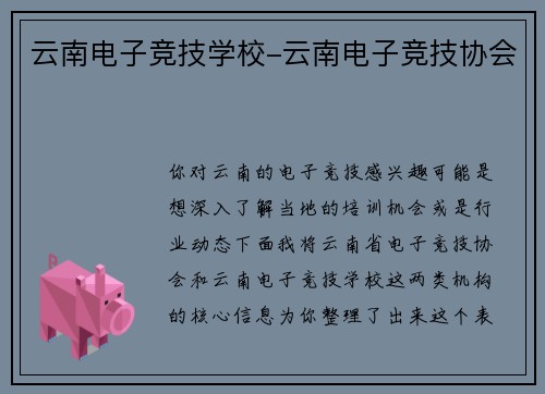 云南电子竞技学校-云南电子竞技协会